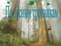По лесным тропинкам