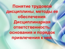 Понятие трудовой дисциплины, методы ее обеспечения. Дисциплинарная