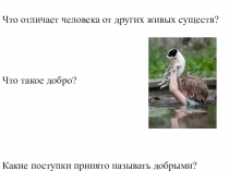 Что отличает человека от других живых существ?
Что такое добро?
Какие поступки