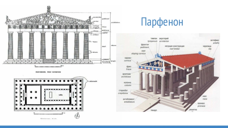 Парфенон схема здания