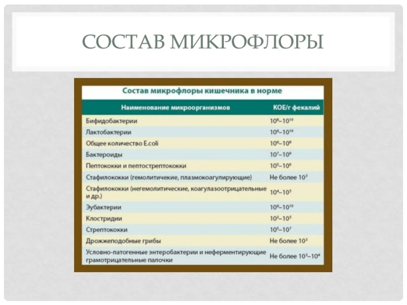 Состав микрофлоры. Состав микробиоты. Состав микробиоценоза. Состав микробиоты: заполнить таблицу.