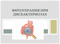 Фитотерапия при дисбактериозах