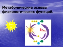 Метаболические основы физиологических функций