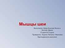 Мышцы шеи