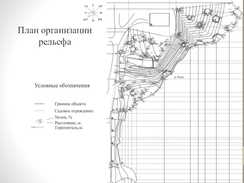 Обозначения на плане организации рельефа