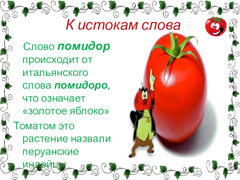 Происхождение слова помидор. Интересные факты о помидорах. Слово помидор. Презентация помидор для дошкольников. Томат происхождение слова.