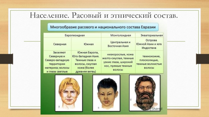 Этнический состав населения россии 8 класс. Расы населения. Расово этнические. Различия рас.