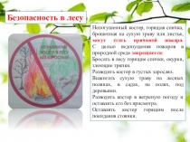 Непотушенный костер, горящая спичка, брошенная на сухую траву или листья, могут