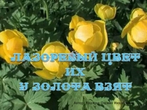 Автор: Козлова Оксана Михайловна