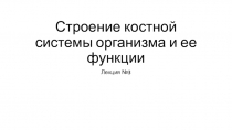 Строение костной системы организма и ее функции