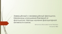 Завершённый и незавершённый фагоцитоз. Механизмы ускользания бактерий от