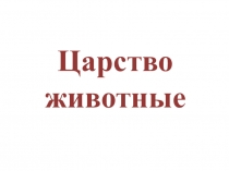 Царство животные