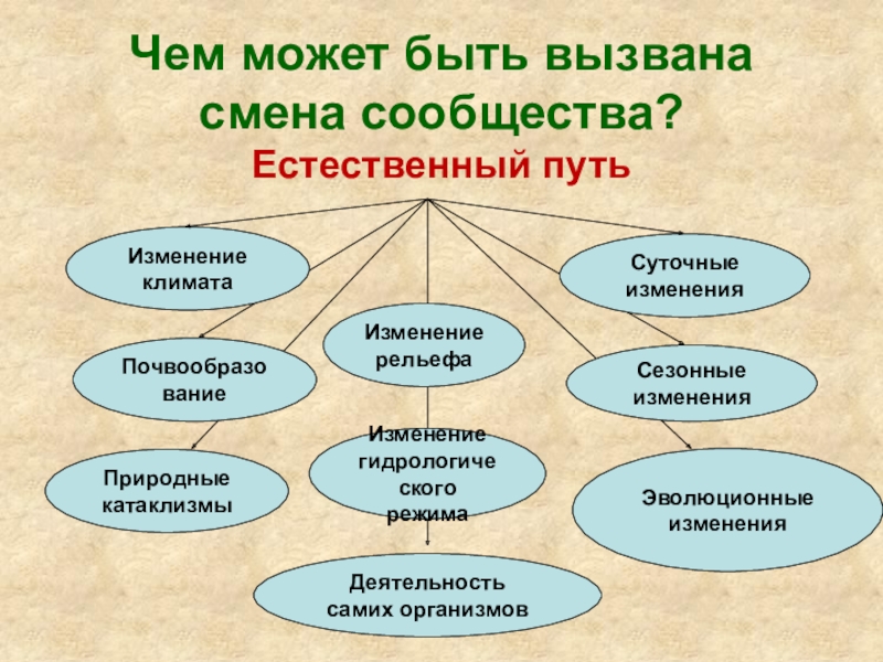 Что к самой деятельности в. Естественный путь смены сообществ. Чем может быть вызвана смена сообщества. Саморазвитие экосистемы. Саморазвитие экосистемы 9 класс.