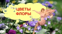 ЦВЕТЫ ФЛОРЫ