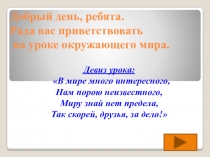 Добрый день, ребята. Рада вас приветствовать на уроке окружающего мира
