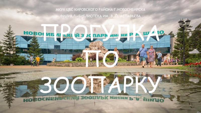 ПРОГУЛКА ПО ЗООПАРКУ