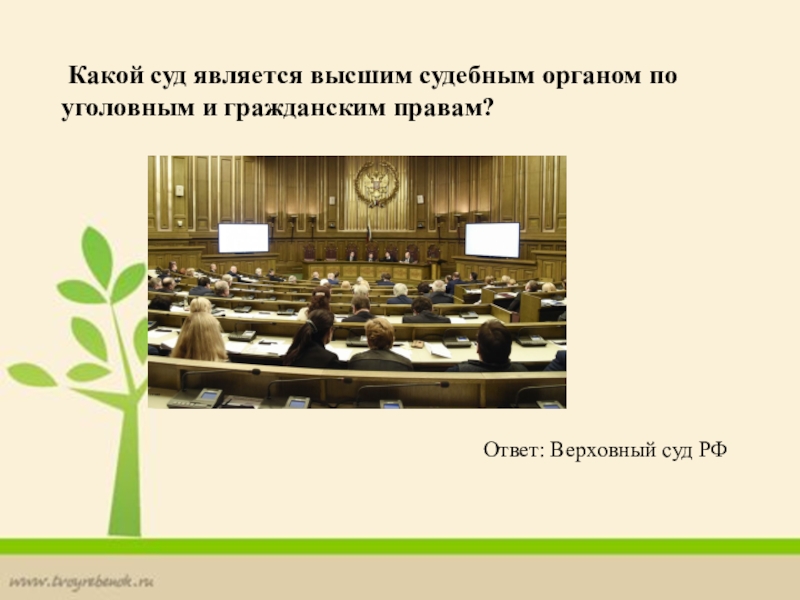 Высшим судебным органом страны стал. Высший судебный орган.