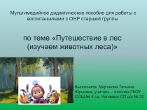 Мультимедийное дидактическое пособие для работы с воспитанниками с ОНР старшей