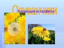 Одуванчики
Аппликация из салфеток