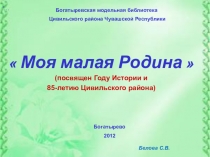 Богатыревская модельная библиотека
Цивильского района Чувашской Республики