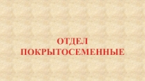 ОТДЕЛ
ПОКРЫТОСЕМЕННЫЕ