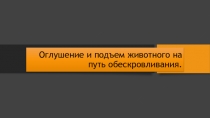 Оглушение и подъем животного на путь обескровливания