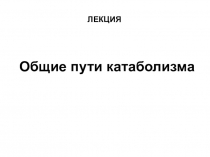 ЛЕКЦИЯ