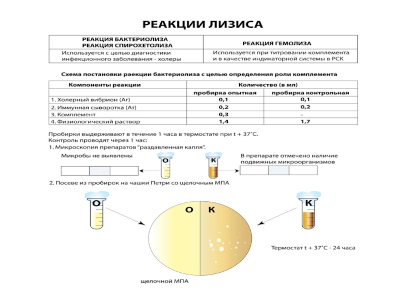 Серологические реакции презентация