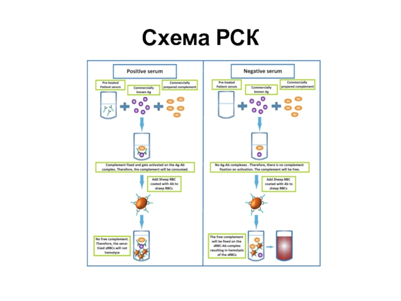 Виды серологических реакций схема - 85 фото