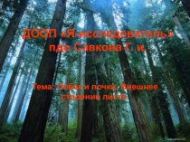 ДООП Я-исследователь пдо Савкова Г. и