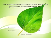Функциональная активность человека и взаимосвязь физической и умственной