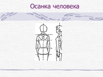 Осанка человека