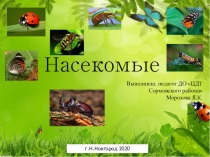 Насекомые
Выполнила: педагог ДО ЦДТ Сормовского района
Морозова