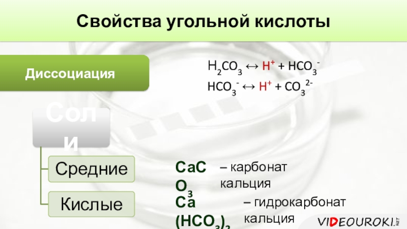 Реакция уксусной кислоты с карбонатом кальция