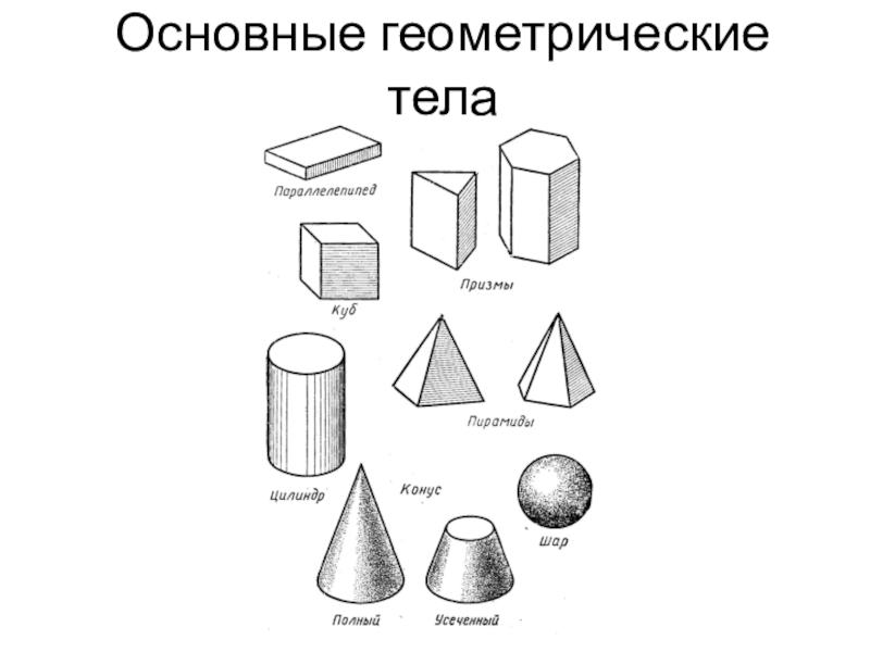 Форма в рисунке это