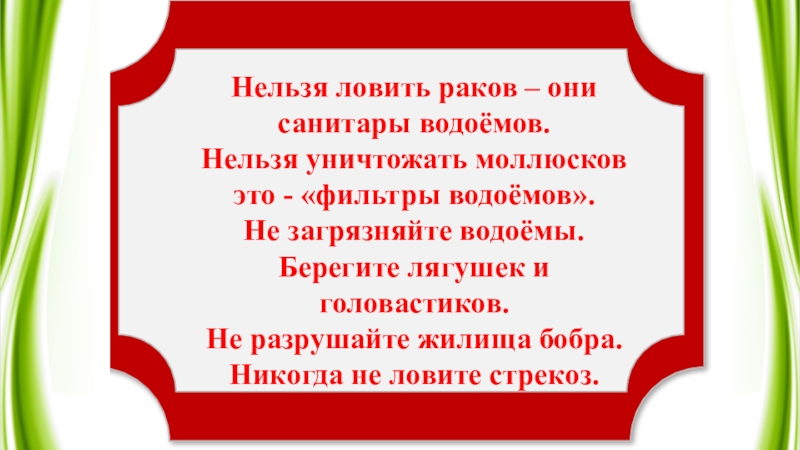 Нельзя ловить. Почему нельзя ловить лягушек. Нельзя ловить моллюсков 4 класс. Не ловите моллюсков. Нельзя ловить моллюсков 4 класс написать.