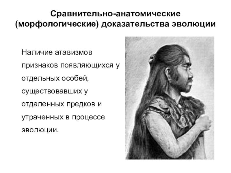 Появление признаков предков. Сравнительно-анатомические доказательства эволюции презентация. Сравнительно анатомическая наука это. Морфологические и анатомические признаки. Сравнительно анатомические Дева.