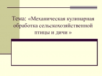 Тема: Механическая кулинарная обработка сельскохозяйственной птицы и дичи