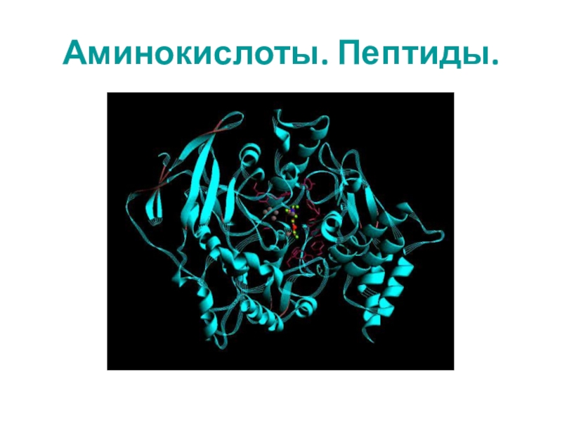 Презентация Аминокислоты. Пептиды