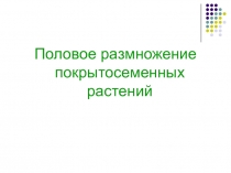 Половое размножение покрытосеменных растений