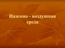 Наземно - воздушная среда