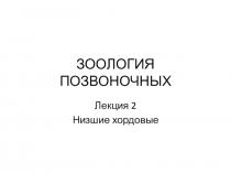 ЗООЛОГИЯ ПОЗВОНОЧНЫХ