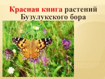 Красная книга растений Бузулукского бора