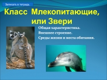Класс Млекопитающие, или Звери