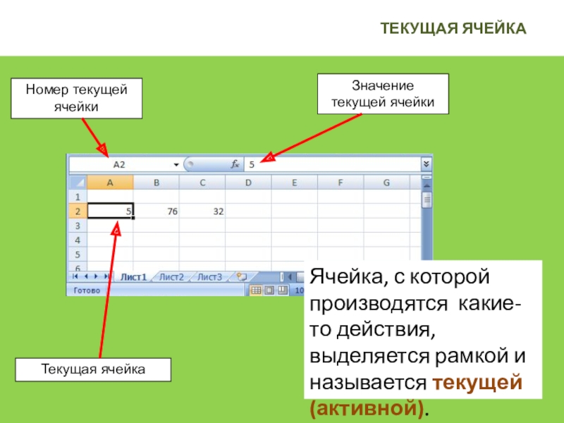 Вертикальный ряд ячеек таблицы