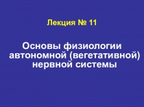 Лекция № 11