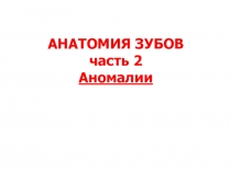 АНАТОМИЯ ЗУБОВ часть 2 Аномалии