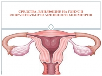 СРЕДСТВА, ВЛИЯЮЩИЕ НА ТОНУС И СОКРАТИТЕЛЬНУЮ АКТИВНОСТЬ МИОМЕТРИЯ