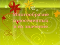 Многообразие голосеменных и их значение