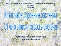 МАОУ СОШ № 153 с углублённым изучением иностранных языков
г. Перми
Куликова
